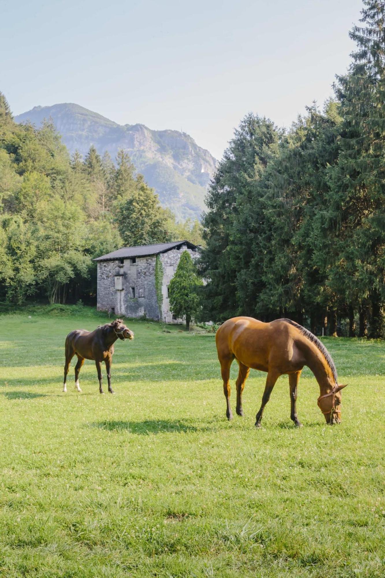 Вілла Agriturismo Ferdy Lenna Екстер'єр фото
