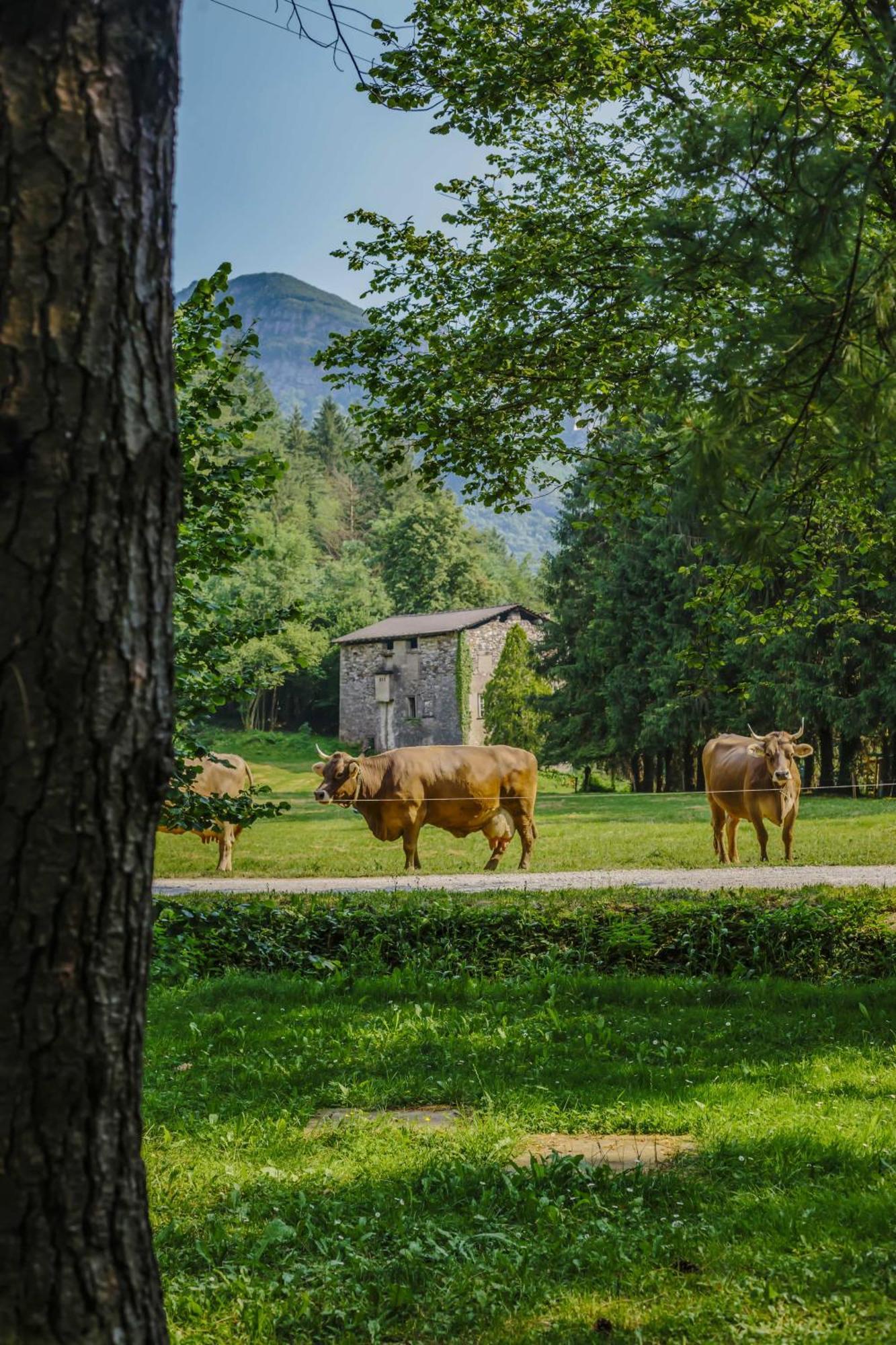 Вілла Agriturismo Ferdy Lenna Екстер'єр фото